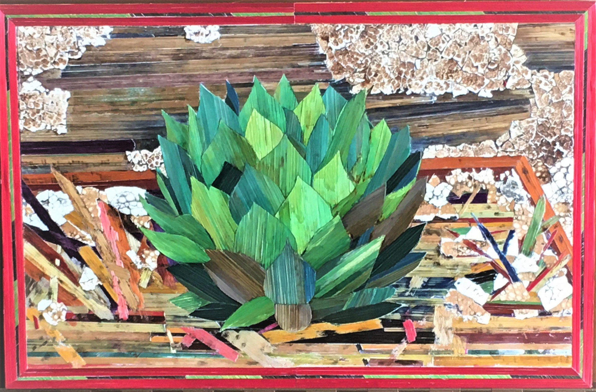 Img 1709 sempervivum sunset 57 5x37 5cm