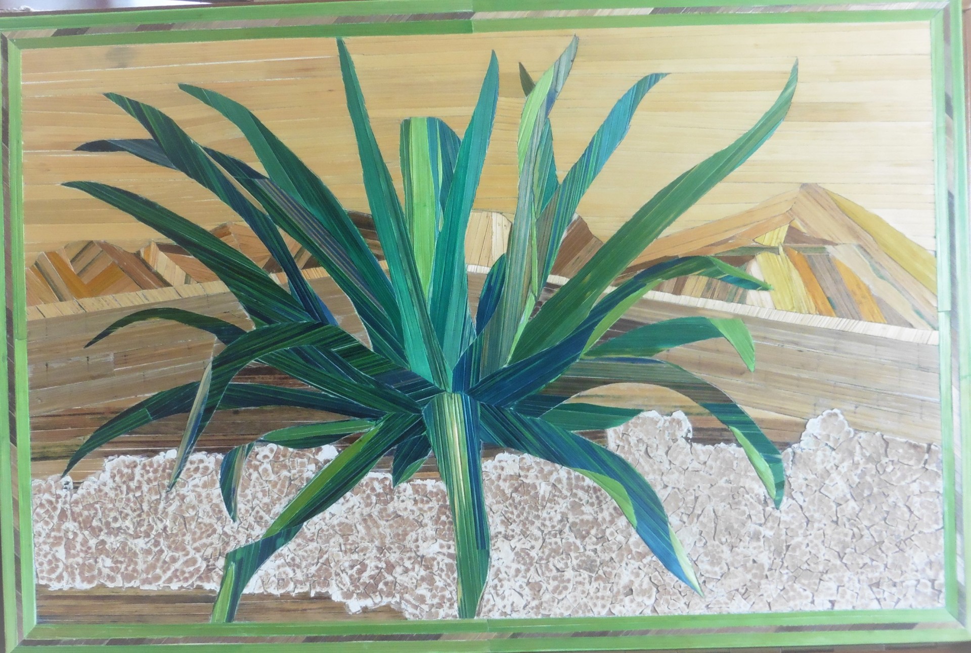 P1070099 agave americana 57x38cm